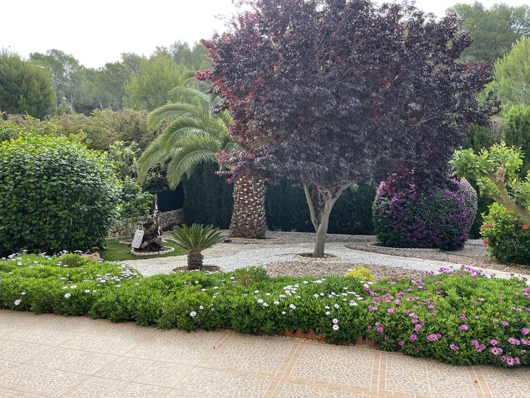 Apartment for Sale in Paguera, Balearic Islands 15