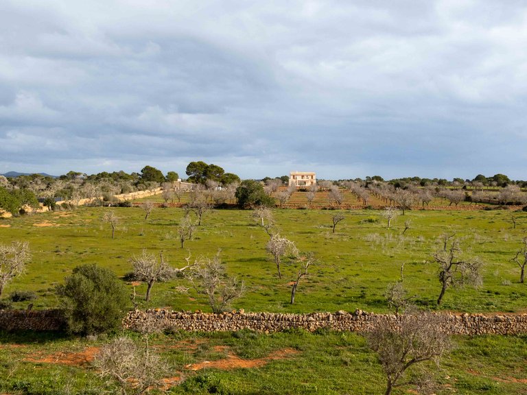 Country House for Sale in Ses Salines, Balearic Islands 26