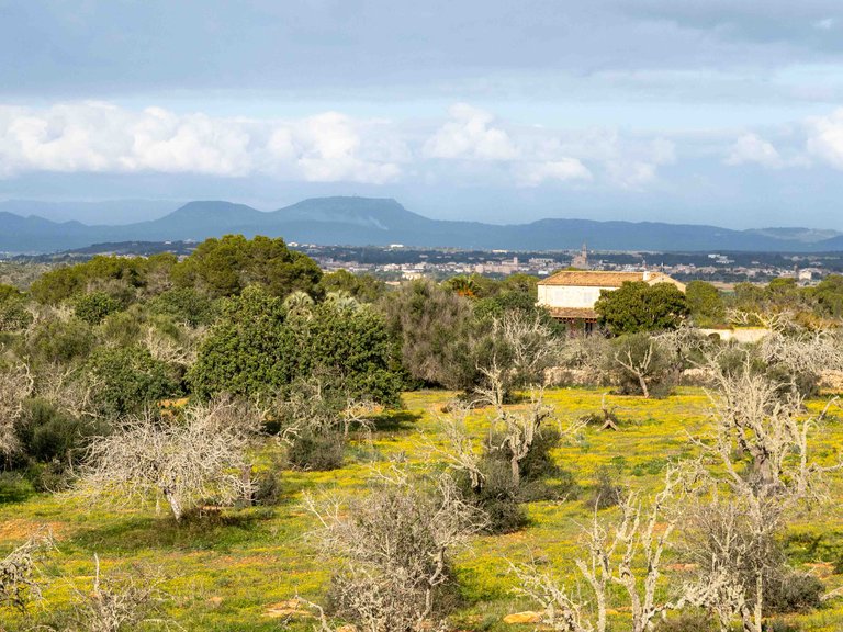 Country House for Sale in Ses Salines, Balearic Islands 25