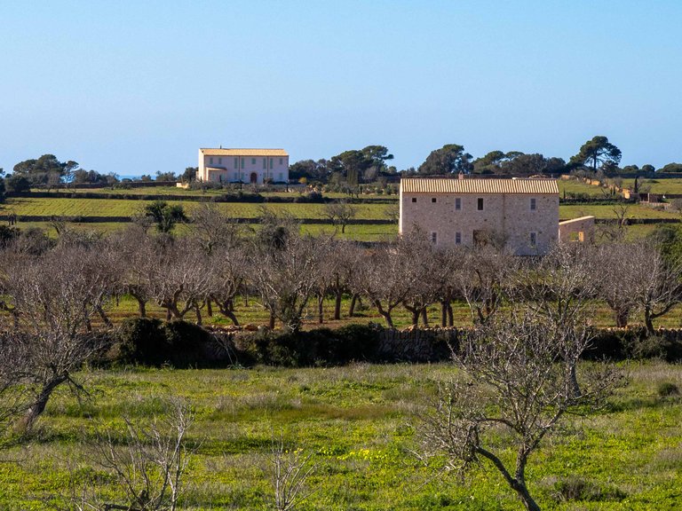 Country House for Sale in Ses Salines, Balearic Islands 6