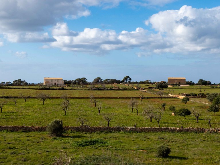 Country House for Sale in Ses Salines, Balearic Islands 27