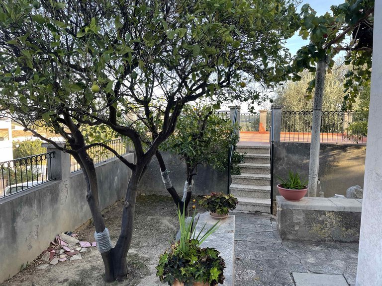 Town House for Sale in Selva, Balearic Islands 4
