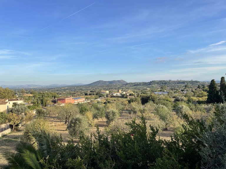 Town House for Sale in Selva, Balearic Islands 6