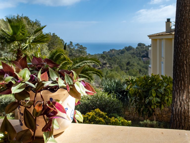 Villa for Sale in Bendinat, Balearic Islands 45