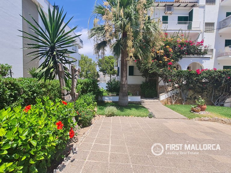 Apartment for Rent in Santa Ponsa, Balearic Islands 13
