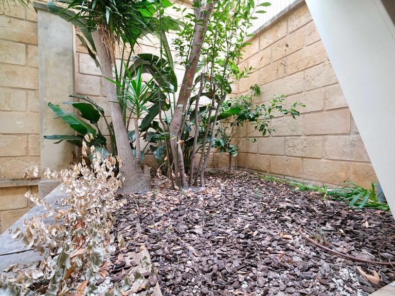 Apartment for Sale in Puerto Portals, Balearic Islands 10