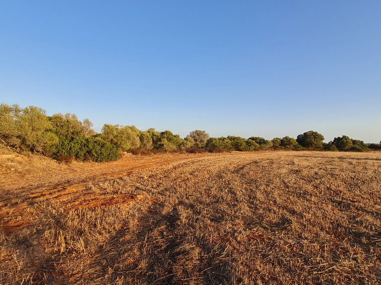 Plot for Sale in Santanyí, Balearic Islands 1