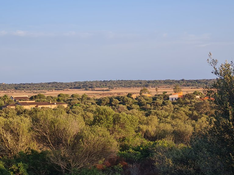 Plot for Sale in Santanyí, Balearic Islands 1