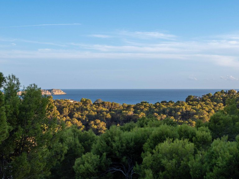 Villa for Sale in Paguera, Balearic Islands 25