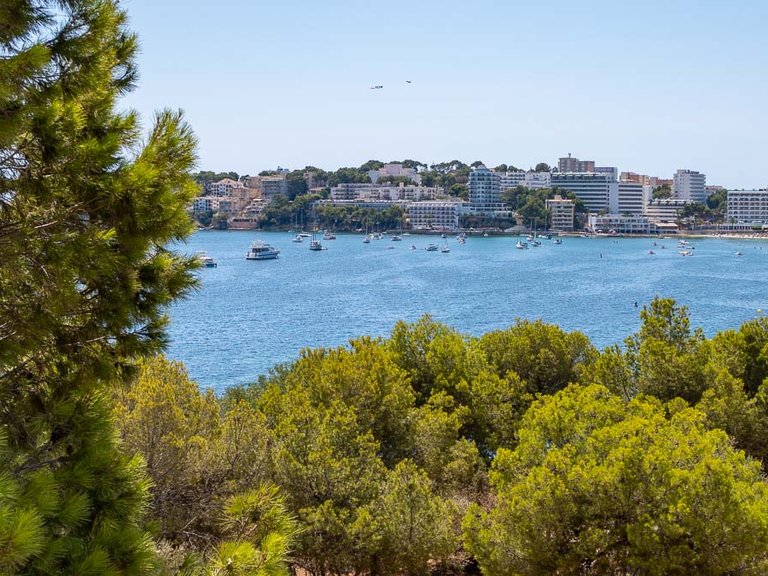 Apartment for Sale in Palmanova, Balearic Islands 2