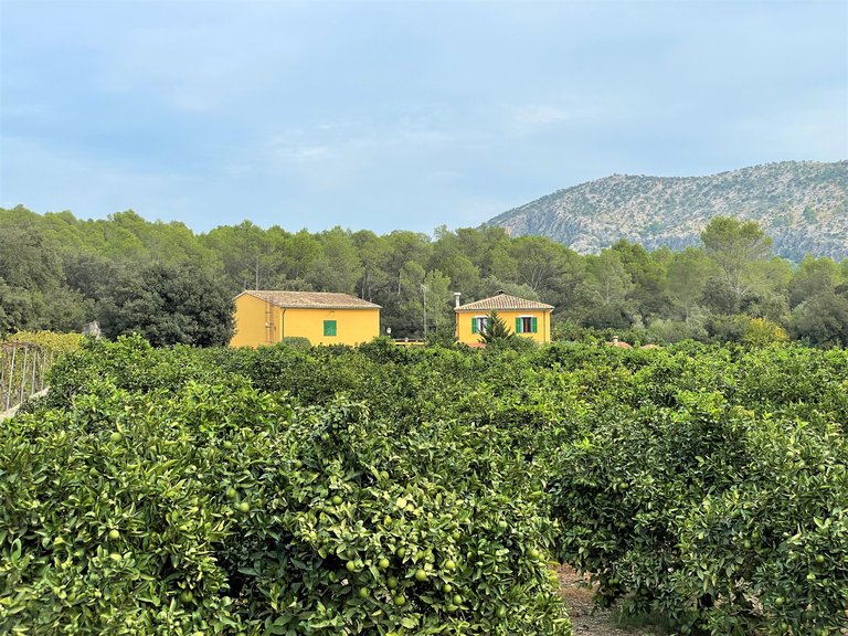 Country House for Sale in Crestatx, Balearic Islands 21