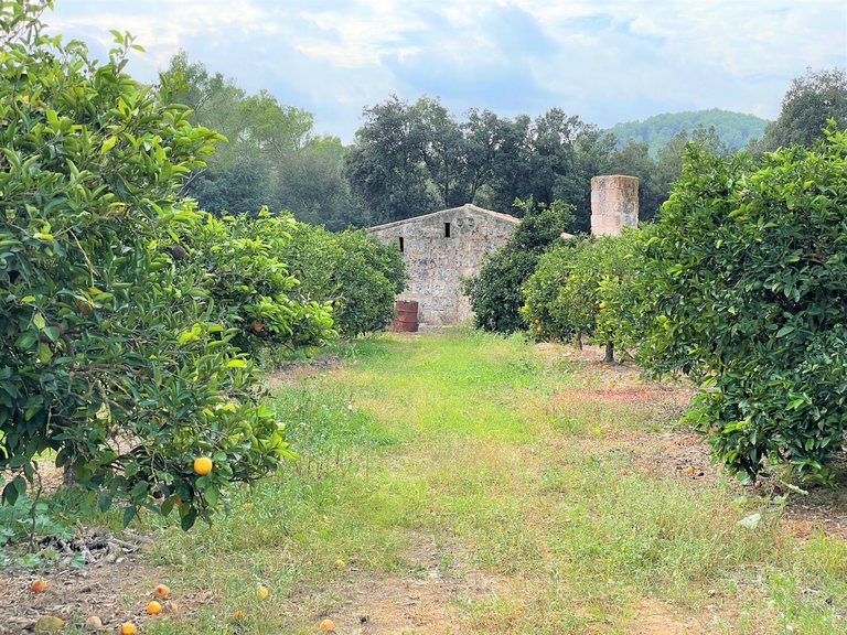 Country House for Sale in Crestatx, Balearic Islands 20