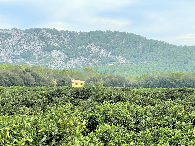 Country House for Sale in Crestatx, Balearic Islands 23