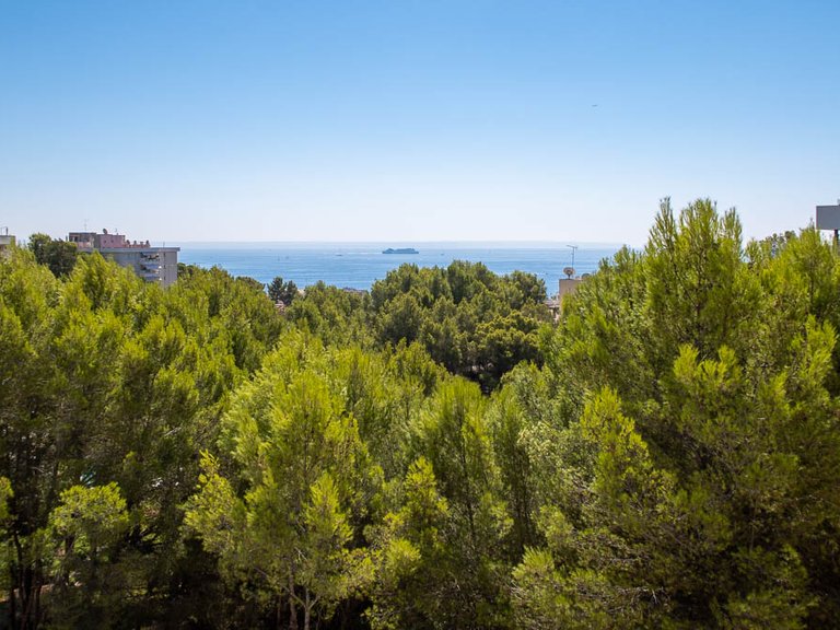 Apartment for Sale in Cas Català, Balearic Islands 16