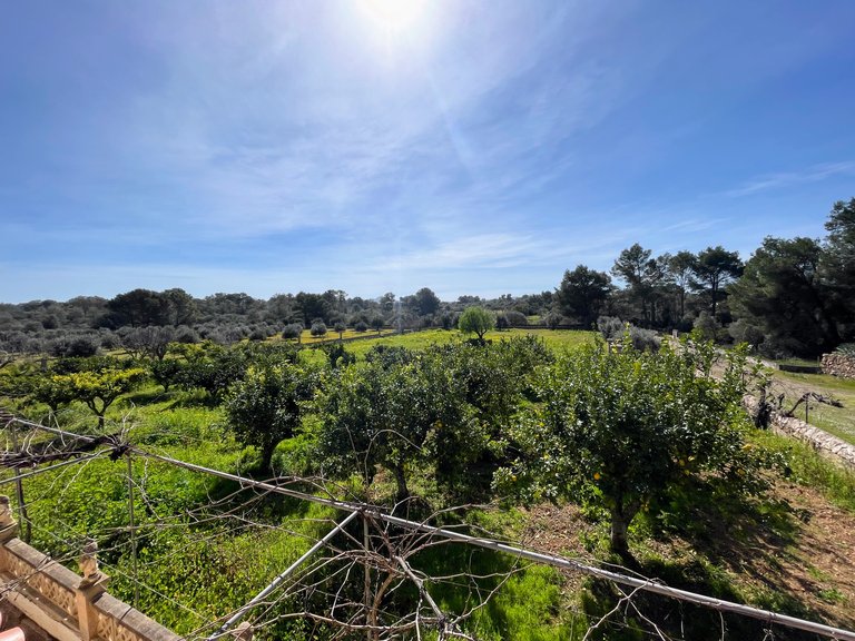 Country House for Sale in Palma De Mallorca, Balearic Islands 28