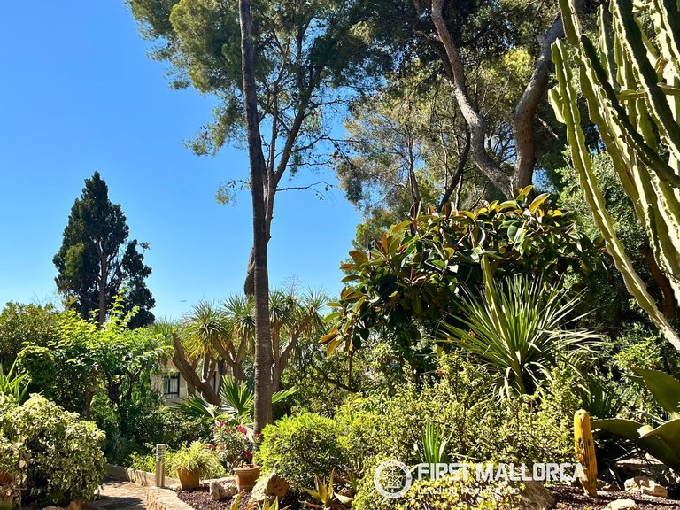 Apartment for Sale in Illetes, Balearic Islands 30