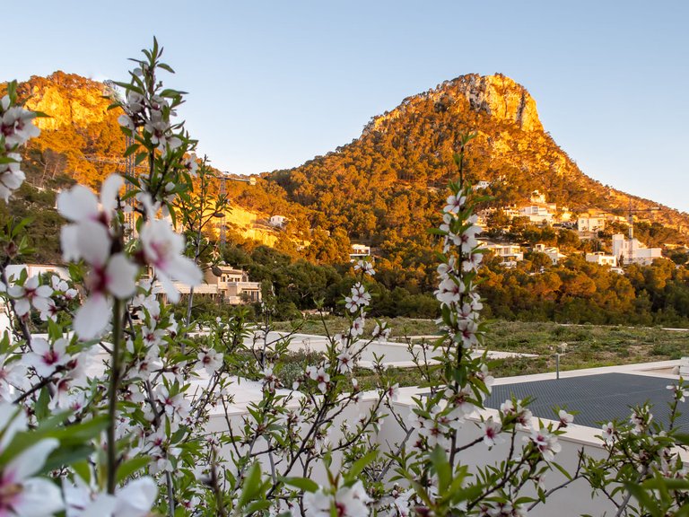 Villa for Sale in Puerto De Andratx, Balearic Islands 4