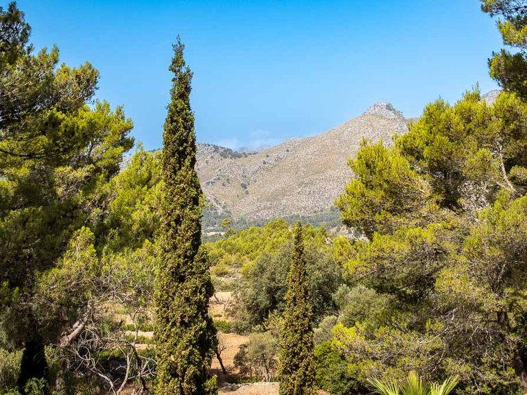 Villa for Sale in Galilea, Balearic Islands 24
