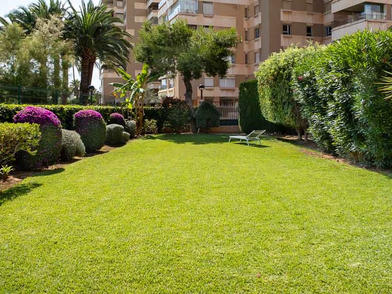 Apartment for Rent in Molinar & Portixol, Balearic Islands 3