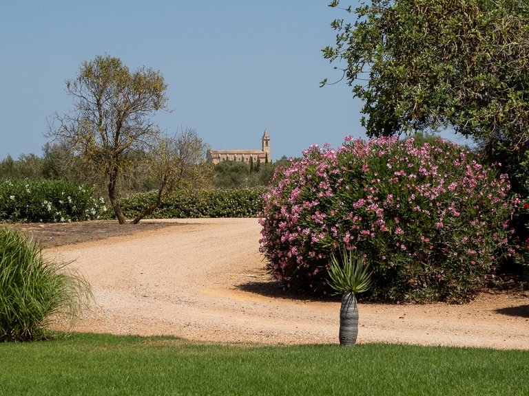 Country House for Sale in Santanyí, Balearic Islands 44