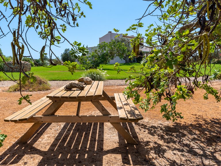 Country House for Sale in Santanyí, Balearic Islands 14