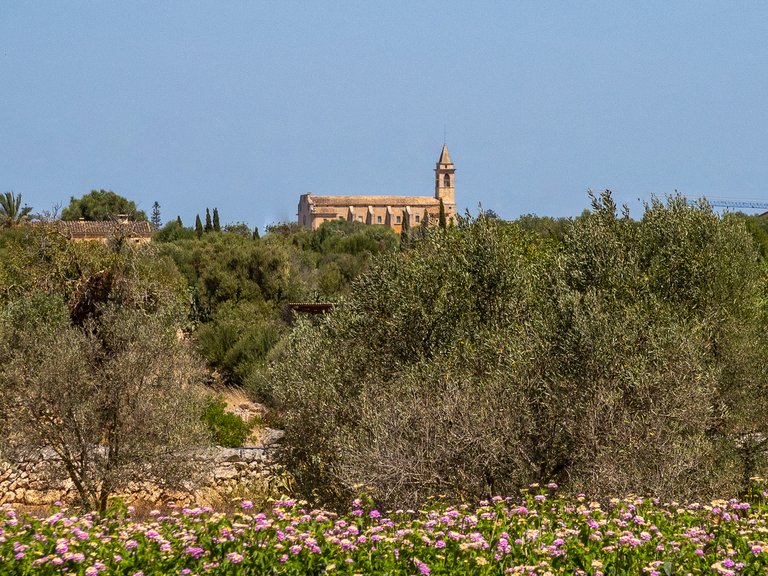 Country House for Sale in Santanyí, Balearic Islands 43