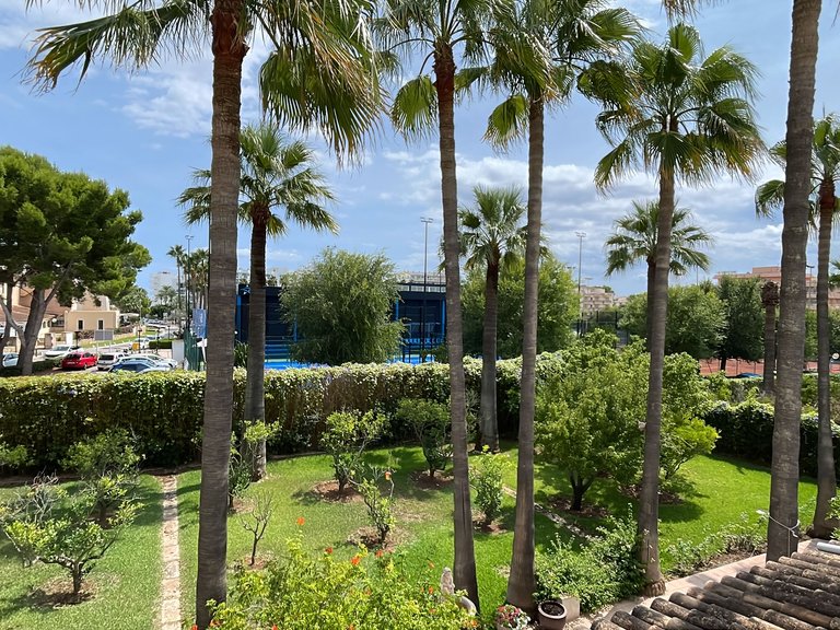 Villa for Sale in Sa Coma, Balearic Islands 31