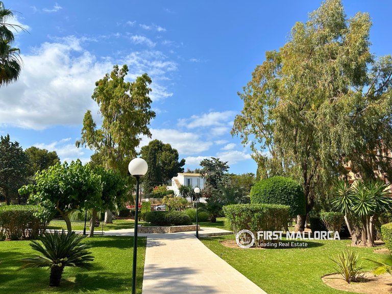 Apartment for Rent in Portals Nous, Balearic Islands 16