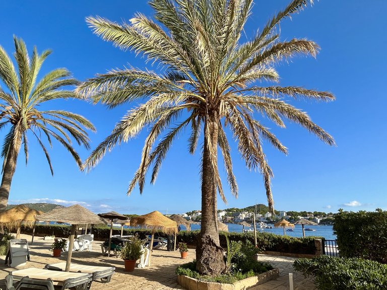 Apartment for Rent in Santa Ponsa, Balearic Islands 22