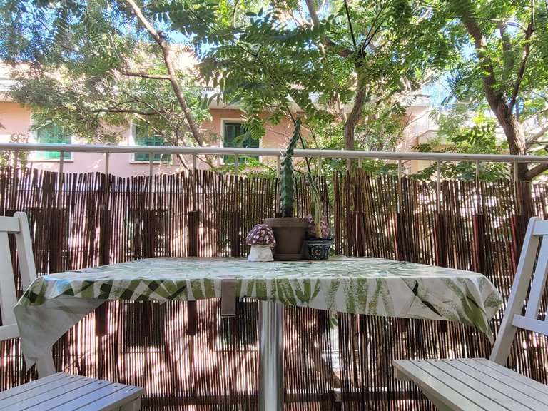 Apartment for Rent in Palma De Mallorca, Balearic Islands 6