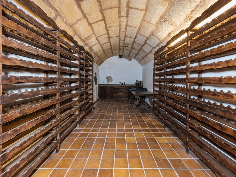 Villa for Sale in Badia Blava, Balearic Islands 38