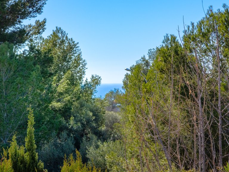 Villa for Sale in Nova Santa Ponsa, Balearic Islands 21
