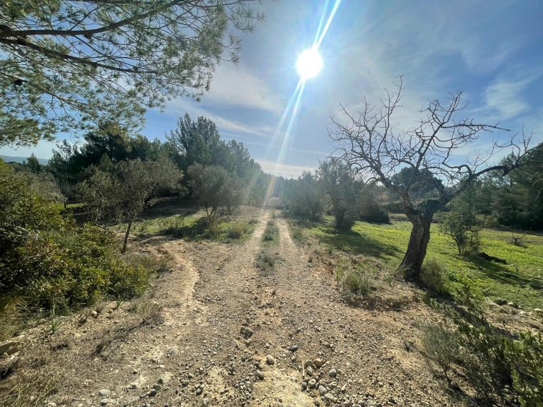 Country House for Sale in Calvià, Balearic Islands 4