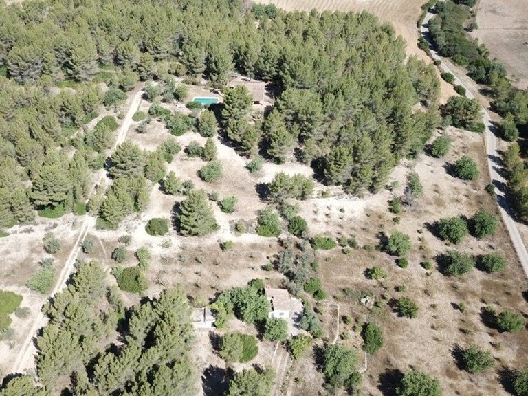 Country House for Sale in Calvià, Balearic Islands 5