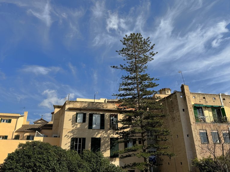 Apartment for Sale in Palma Old Town, Balearic Islands 15