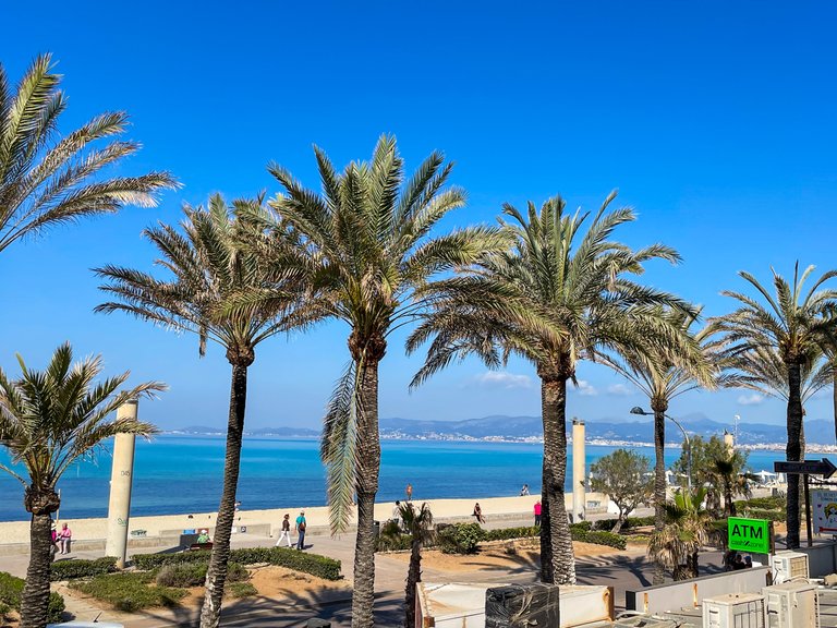 Apartment for Sale in Palma De Mallorca, Balearic Islands 2