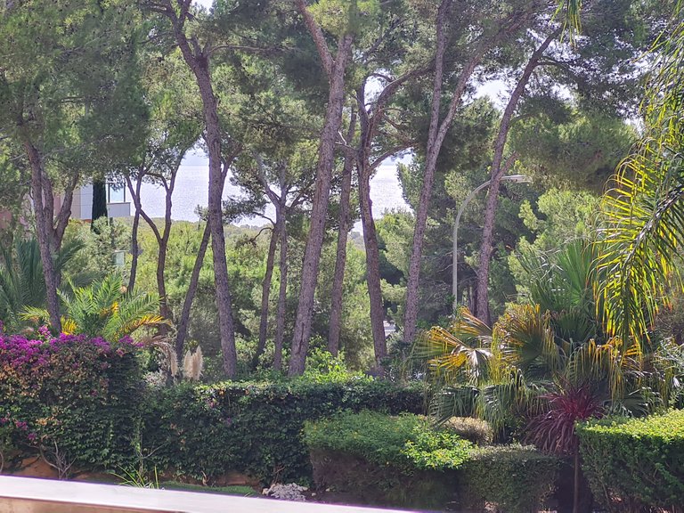 Apartment for Sale in Sol De Mallorca, Balearic Islands 3