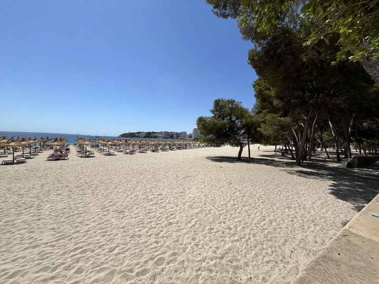 Apartment for Rent in Palmanova, Balearic Islands 13