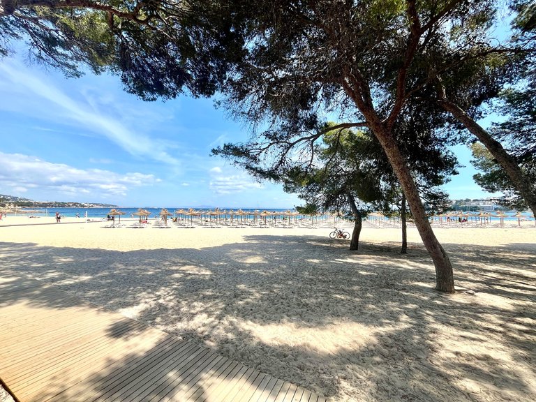 Apartment for Rent in Palmanova, Balearic Islands 1