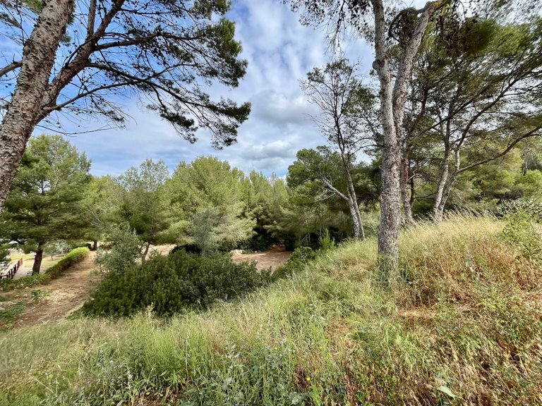 Apartment for Sale in Santa Ponsa, Balearic Islands 13