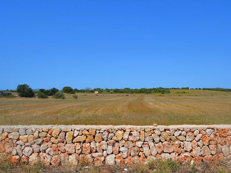 Country House for Sale in Manacor, Balearic Islands 2