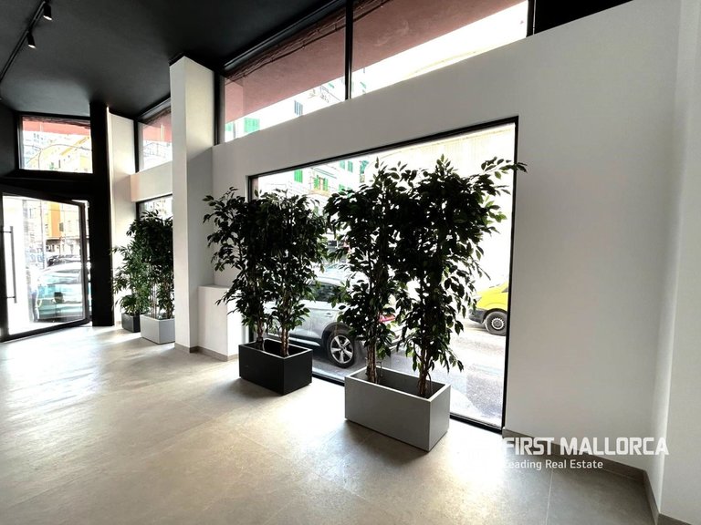 Commercial for Sale in Palma De Mallorca, Balearic Islands 3