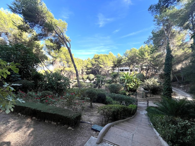 Apartment for Sale in Sol De Mallorca, Balearic Islands 12