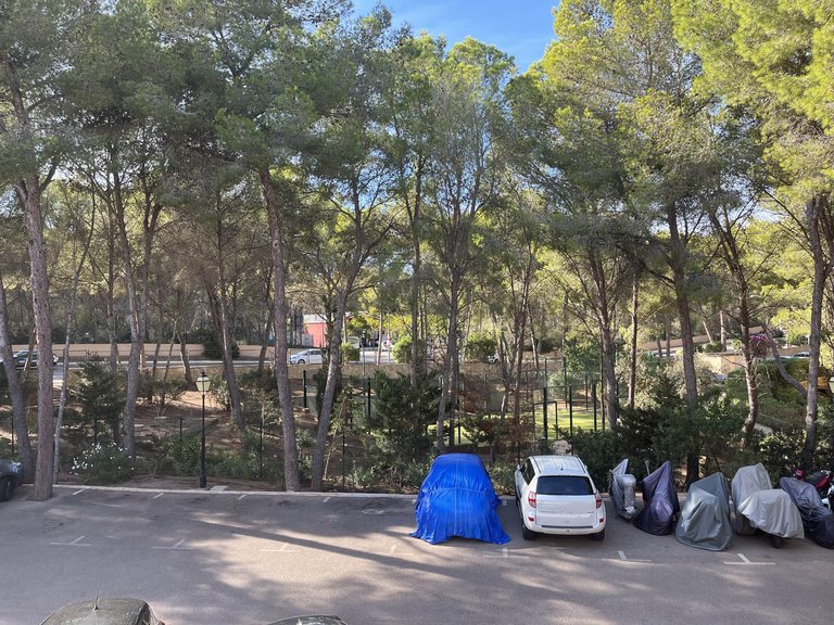 Apartment for Sale in Sol De Mallorca, Balearic Islands 13
