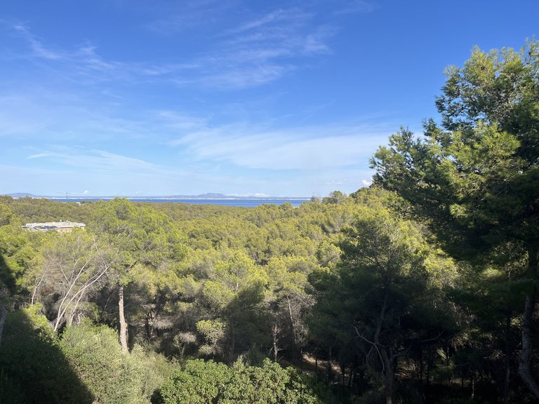 Apartment for Sale in Sol De Mallorca, Balearic Islands 6