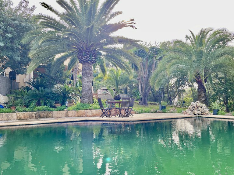 Villa for Sale in Bendinat, Balearic Islands 35