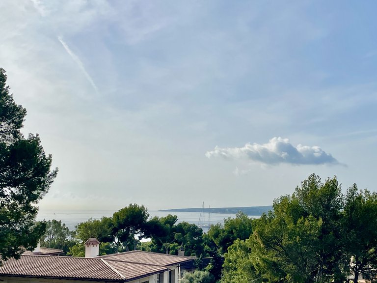 Villa for Sale in Bendinat, Balearic Islands 36