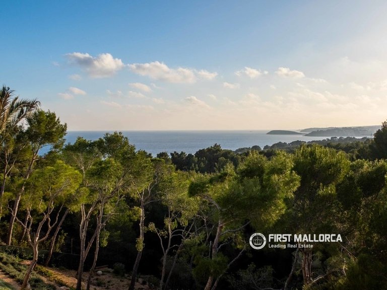 Villa for Sale in Costa D´en Blanes, Balearic Islands 13