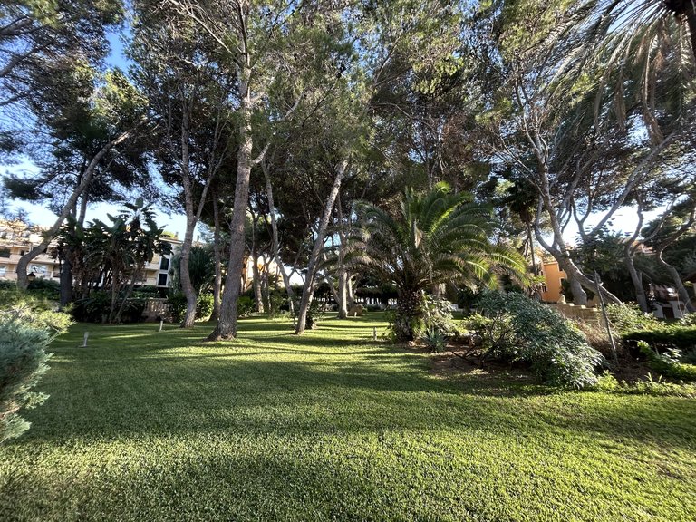 Apartment for Rent in Santa Ponsa, Balearic Islands 21