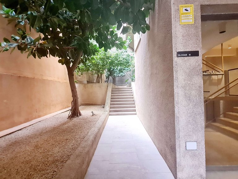 Apartment for Rent in Palma De Mallorca, Balearic Islands 16